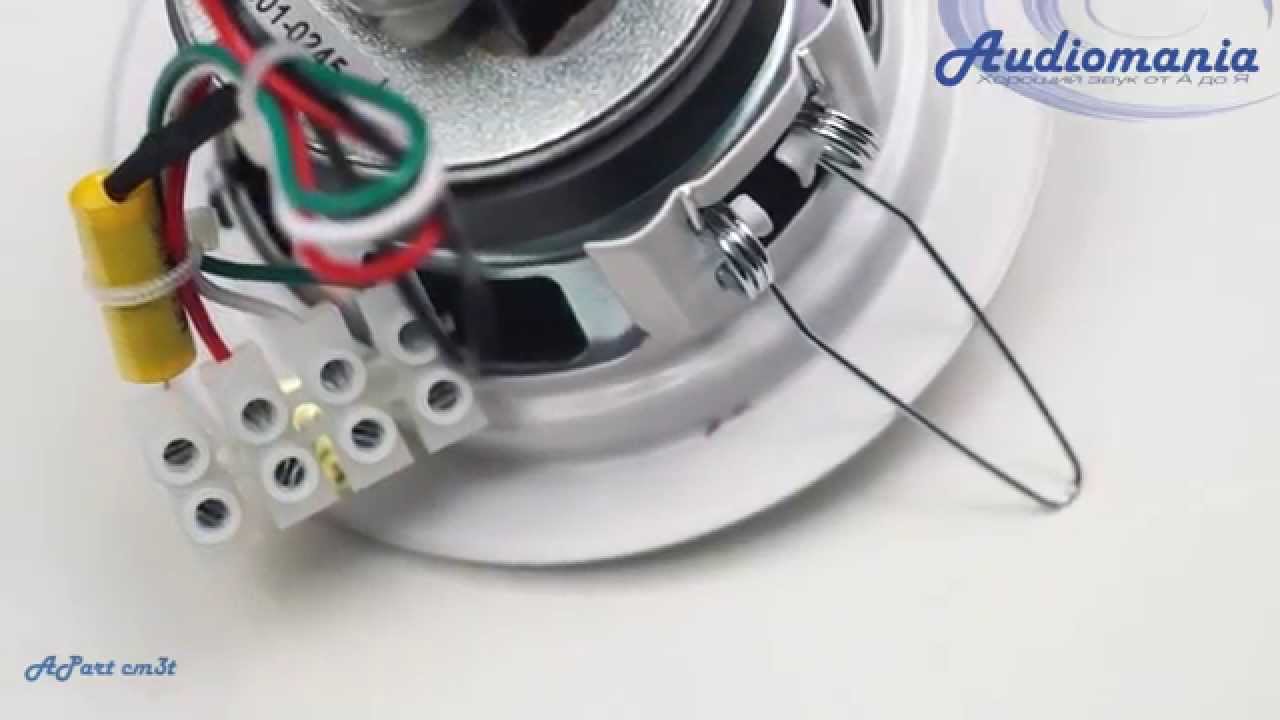 Biamp CM3T-BL �������� ��������� �������. ����������: 10 ��