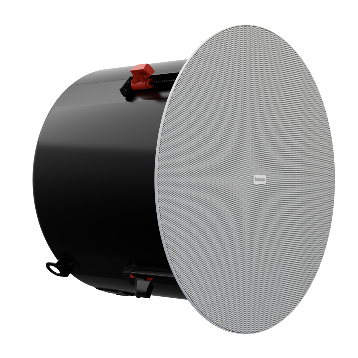 Biamp DX-IC10-W �������� ��������� �������. ���������� 200 ��