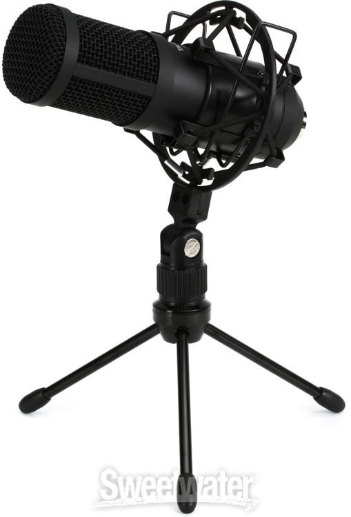 Tascam TM-70 ��������� �������. ��������� �������: 30 �� � 20 ���