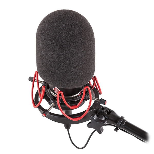 Rycote 45/100 Large Diaphragm Mic Foam ³���������� �������