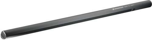 SENNHEISER MKH 8070 ̳������ ���� "�����".  ��������� �������: 45-20000��